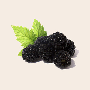 Blackberry Plant